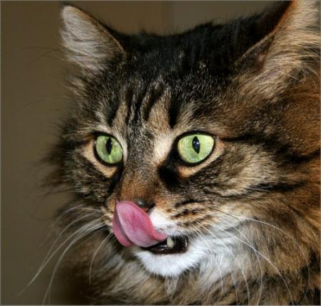 hummmmmmmmm